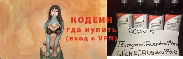 шишки Богородск