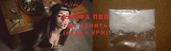 дурь Богданович