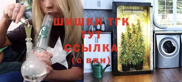 шишки Богородск