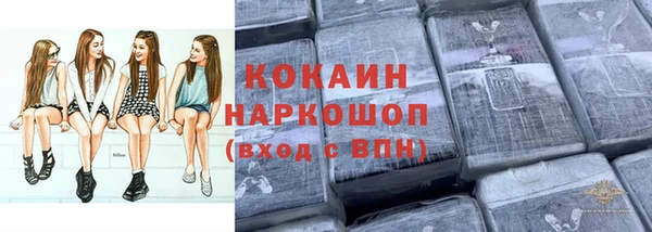 шишки Богородск