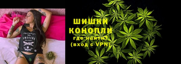шишки Богородск